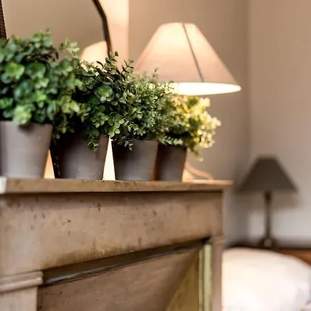 Apartment Small Studio In My House With Garden Lyon